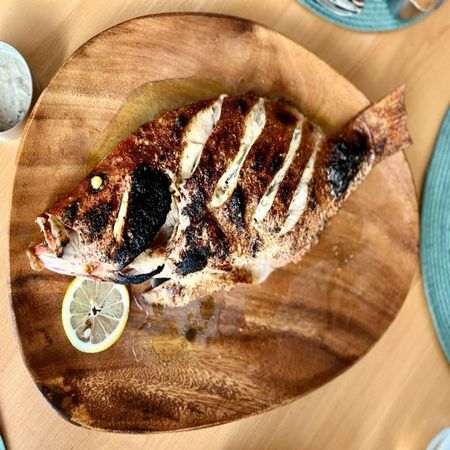 Red Snapper