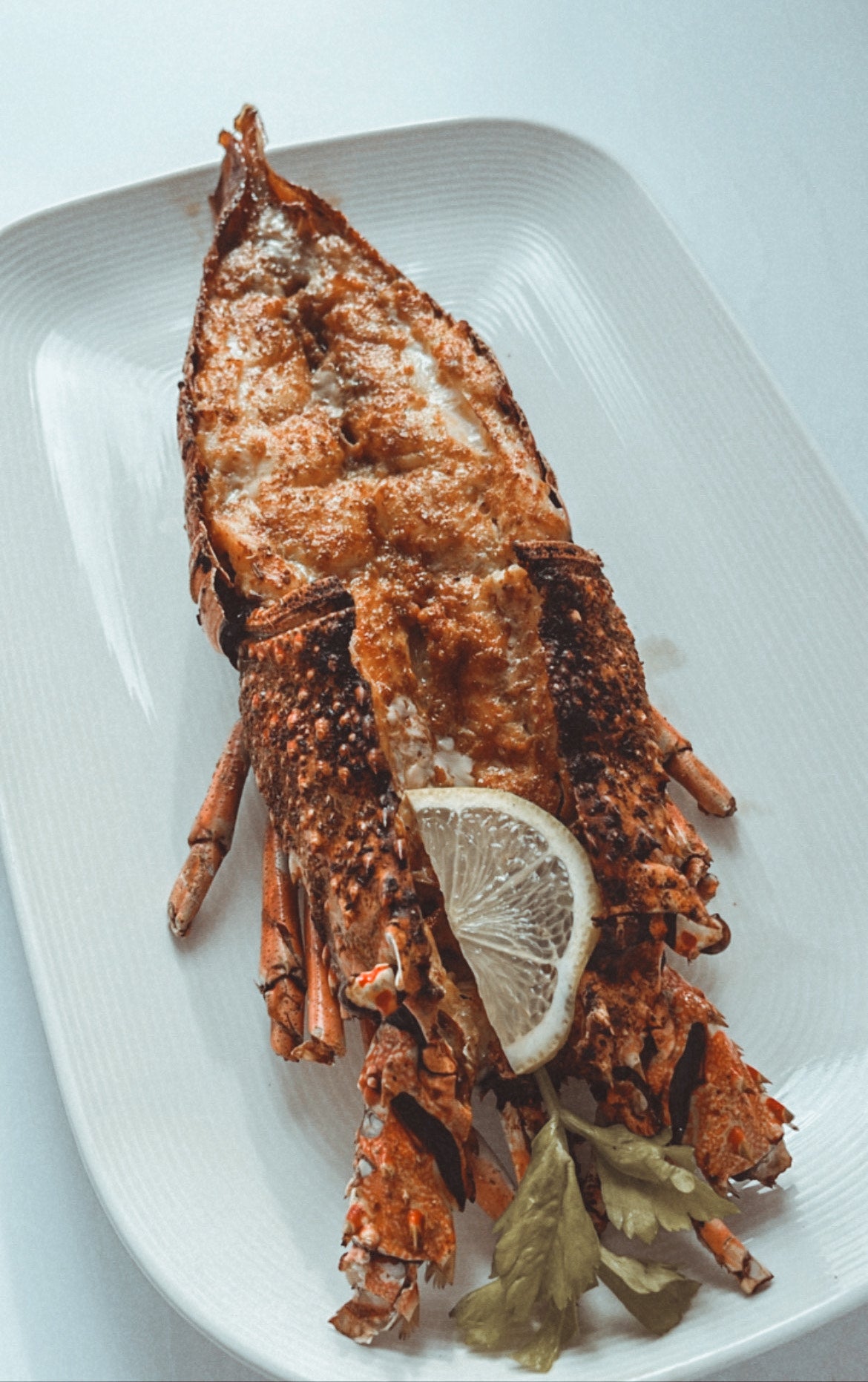 Grilled Lobster per kg